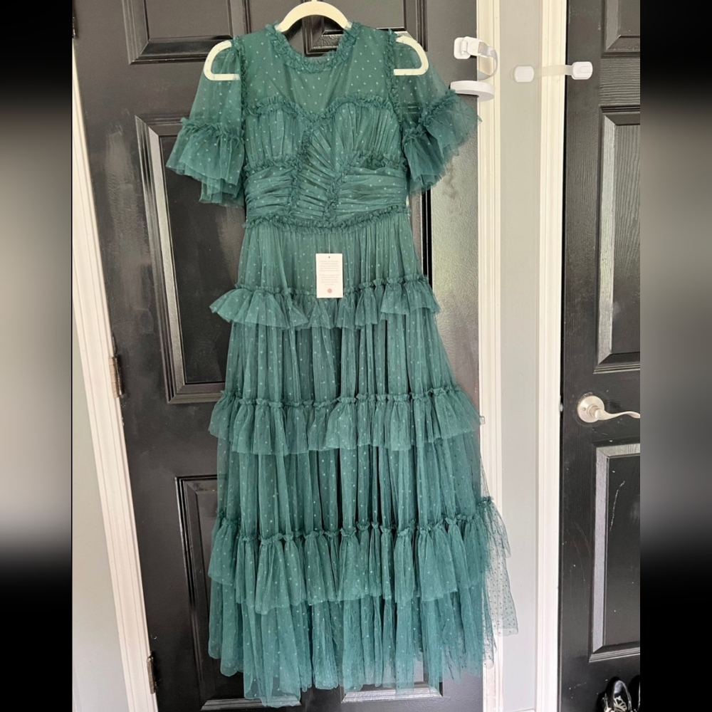 NWT Ivy City Co Whimsical Dress